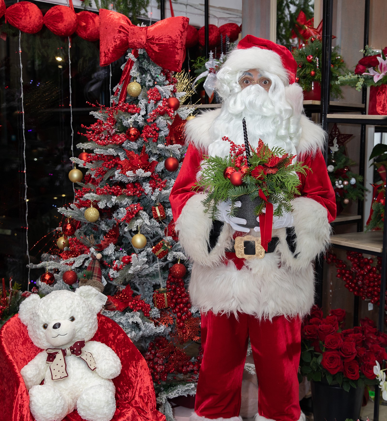 ARANJAMENT STRALUCIRE DE IARNA 1 ARANJAMENT STRALUCIRE DE IARNA