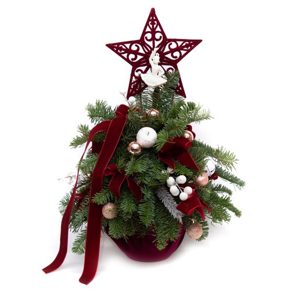 BRAD STEAUA SARBATORII