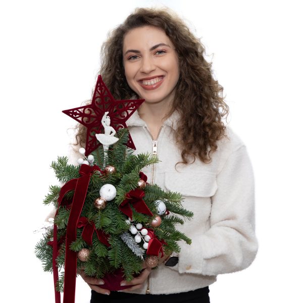 BRAD STEAUA SARBATORII