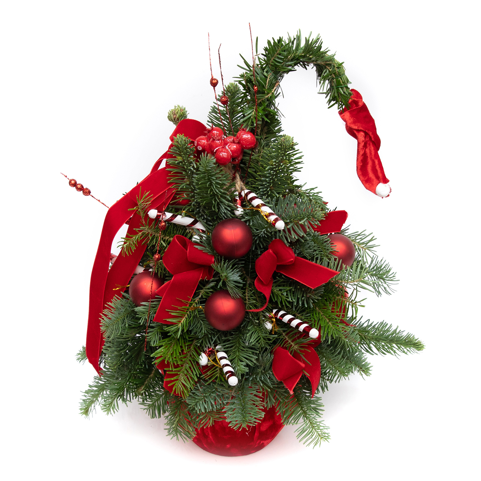 BRAD DULCIURILE LUI MOS CRACIUN 4 BRAD DULCIURILE LUI MOS CRACIUN - imagine 4