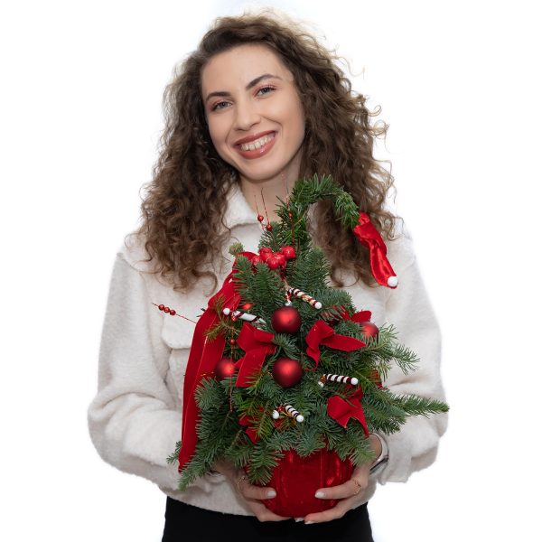 BRAD DULCIURILE LUI MOS CRACIUN