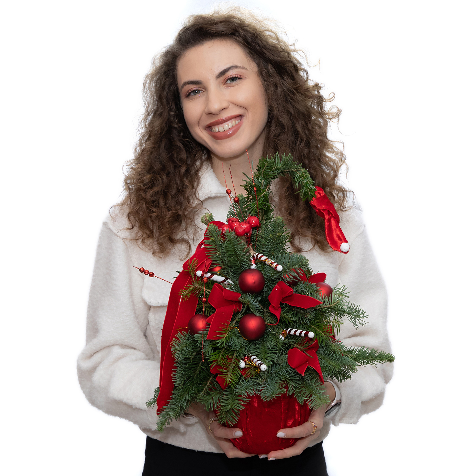 BRAD DULCIURILE LUI MOS CRACIUN 1 BRAD DULCIURILE LUI MOS CRACIUN