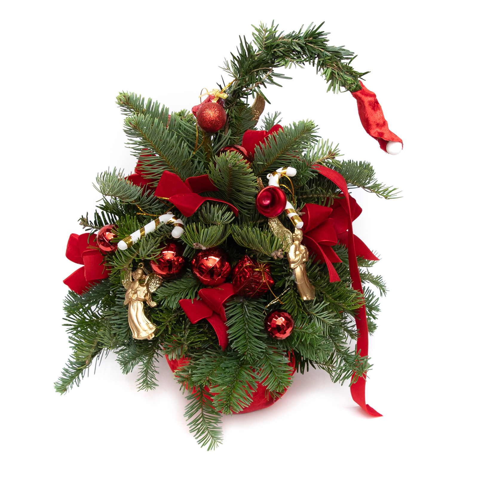 BRAD CADOURILE LUI MOS CRACIUN 4 BRAD CADOURILE LUI MOS CRACIUN - imagine 4