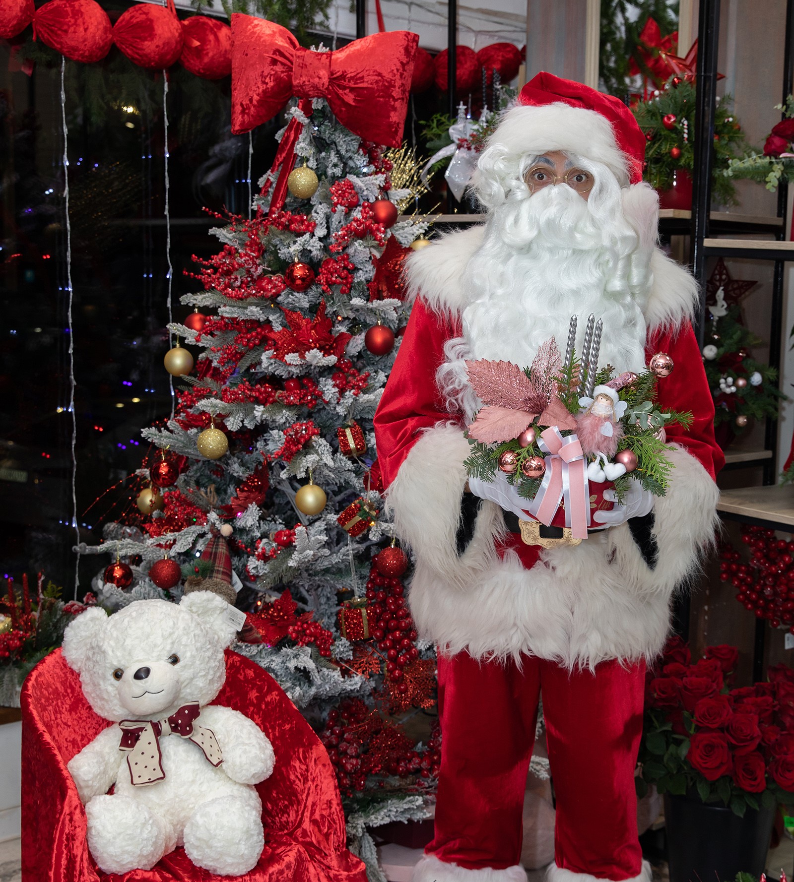 ARANJAMENT ARIPI DE INGER ROZ 1 ARANJAMENT ARIPI DE INGER ROZ