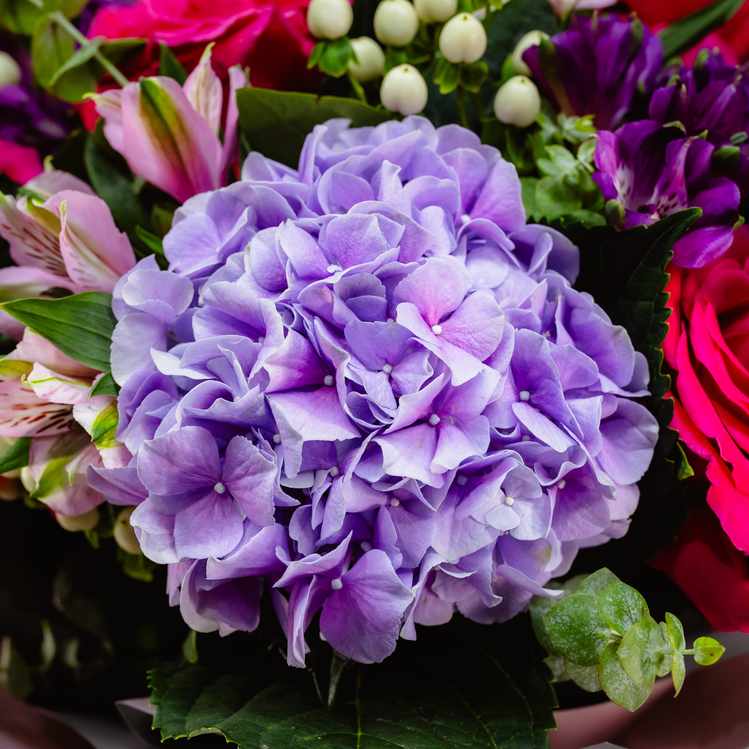 BUCHET CU HORTENSIE SI TRANDAFIRI IN CONTRAST 2 BUCHET CU HORTENSIE SI TRANDAFIRI IN CONTRAST - imagine 2