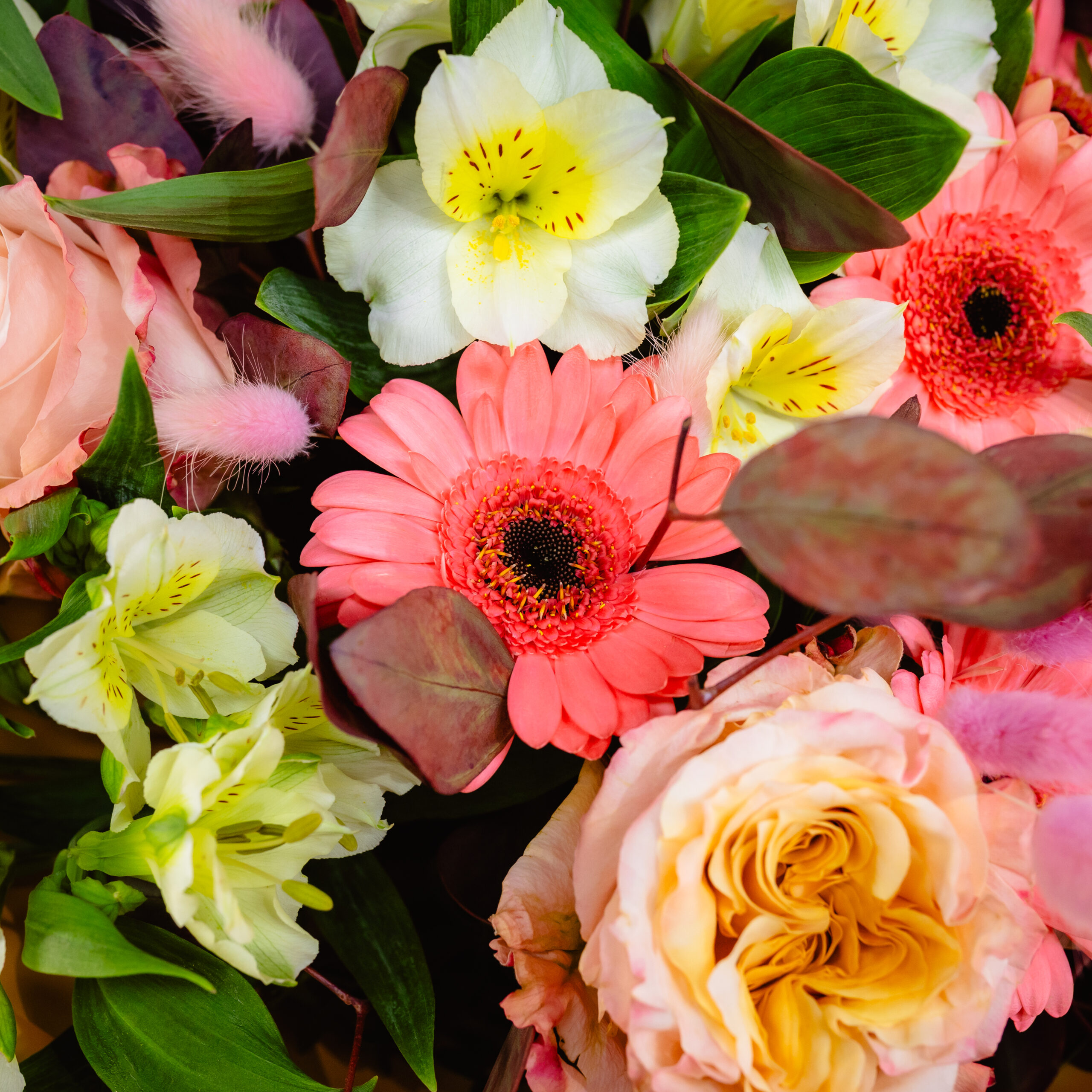 BUCHET VIS DE PRIMAVARA 2 BUCHET VIS DE PRIMAVARA - imagine 2