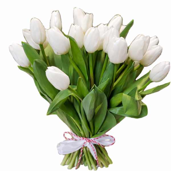 BUCHET 21 LALELE ALBE