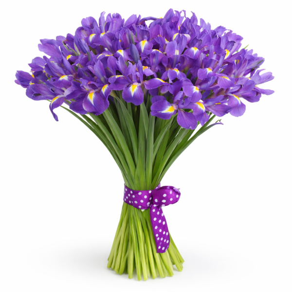 BUCHET IMPRESIONANT DE IRIȘI MOV