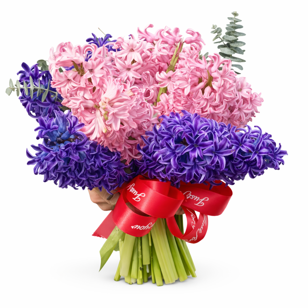 BUCHET PARFUMAT DE PRIMĂVARĂ CU ZAMBILE ROZ ȘI MOV 1 BUCHET PARFUMAT DE PRIMĂVARĂ CU ZAMBILE ROZ ȘI MOV