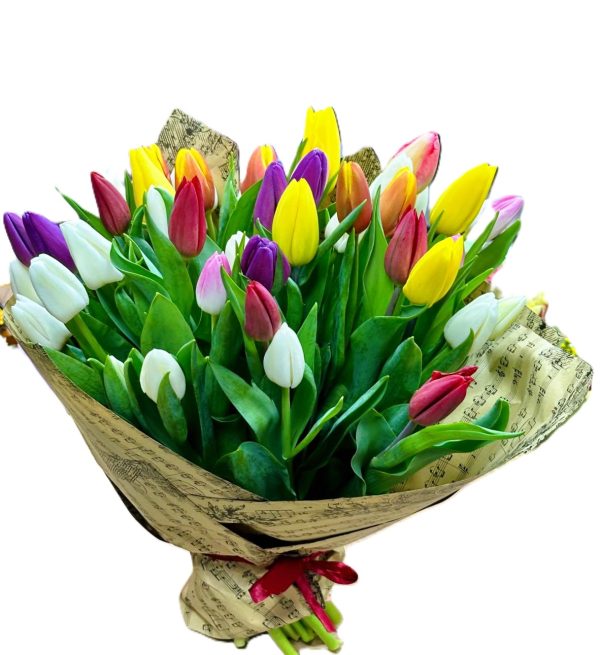 BUCHET 41 LALELE COLORATE DE PRIMĂVARĂ