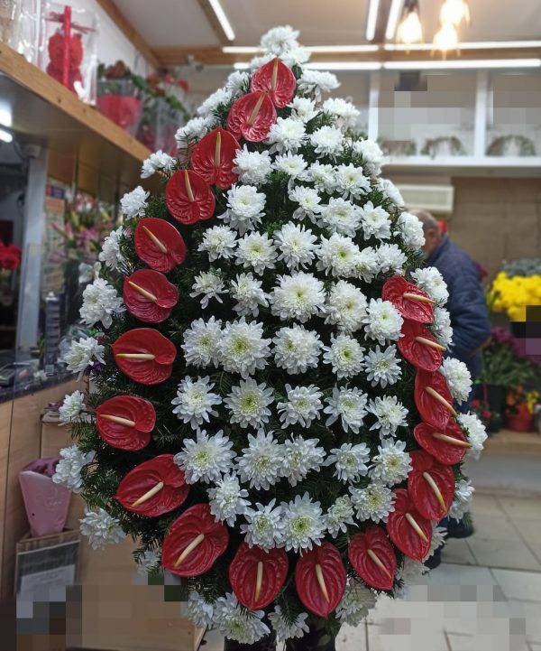 COROANA ANTHURIUM