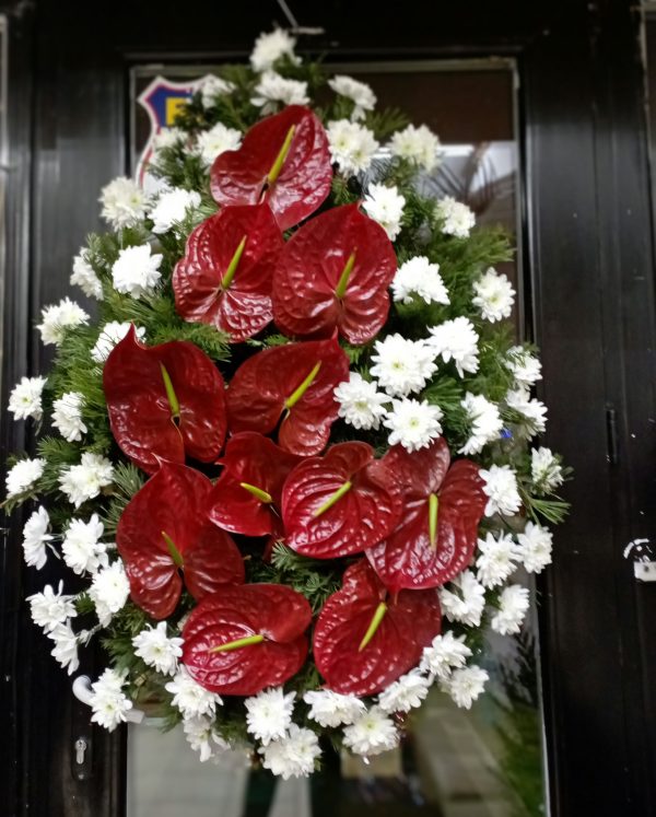 COROANA ANTHURIUM
