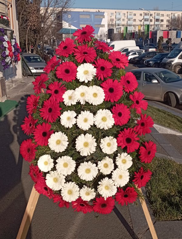 COROANA GERBERA