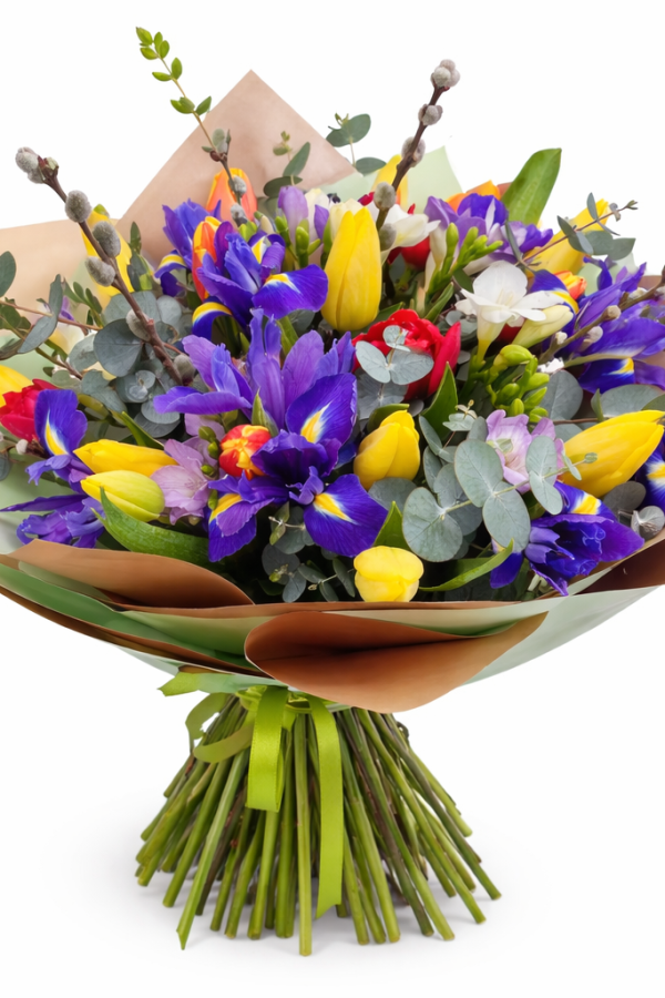 ChatGPT Image 27 feb. 2026, 17_14_44